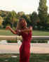 Sleeveless Evening Dress with Big Bow Backless for Gala and Wedding Guest